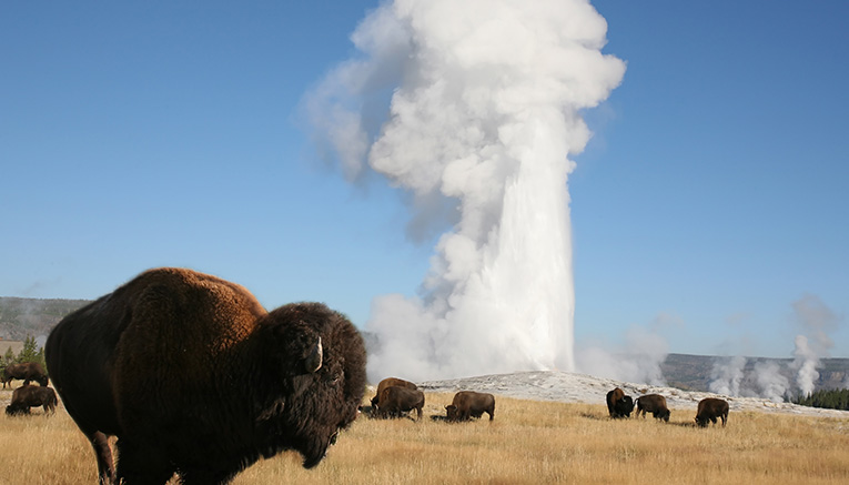Mytcf-yellowstone-multisport-2